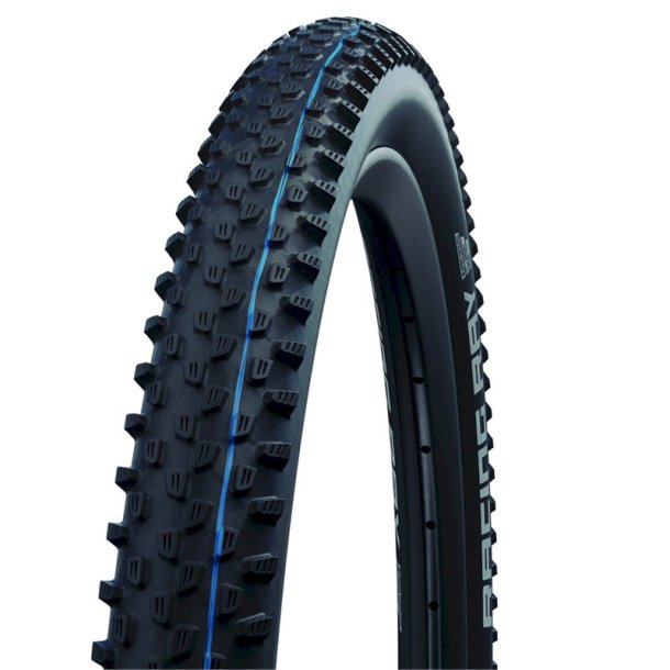 Schwalbe Racing Ray HS489 SG