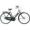 Raleigh Tourist De Luxe 3g Dame