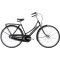 Raleigh Tourist De Luxe 3g Dame