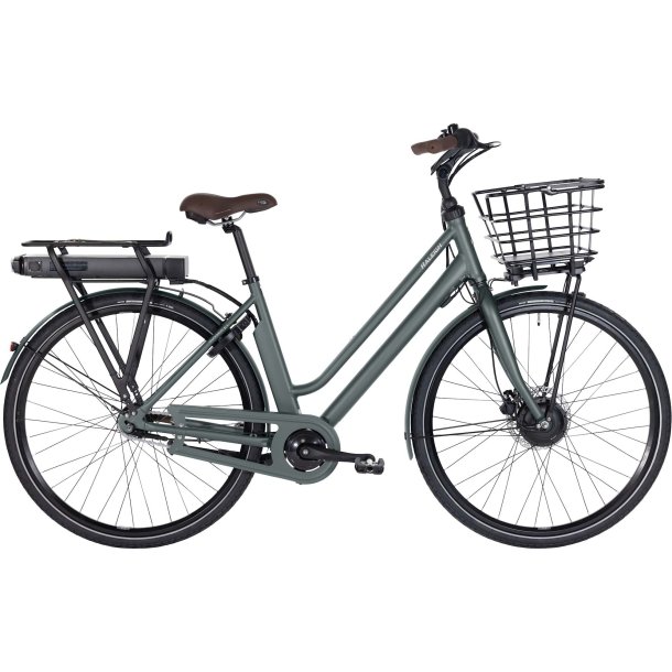 Raleigh Sussex E1 Dame 48cm 7g Nexus Matgrn