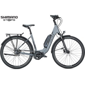 Falter E 8.2 RT Wave 500Wh