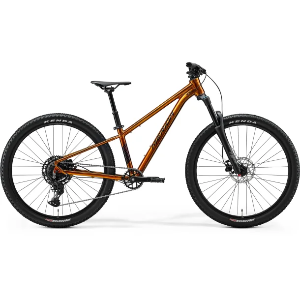 Merida Matts J Champion XXS