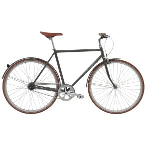 Raleigh Kent 7g Herre