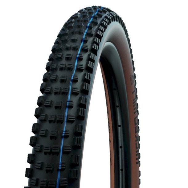 Schwalbe Wicked Will bronze