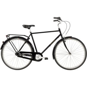 Raleigh Darlington 7gear